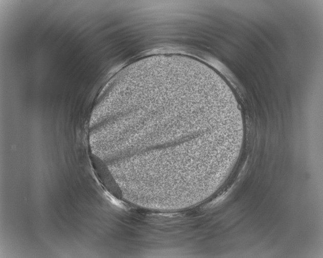 X0000063440857200602171828