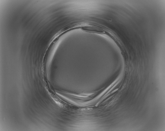 X0000063440858200602171828