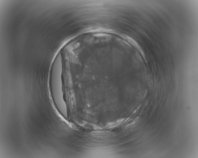 X0000063440863200602171828
