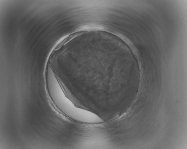 X0000063440864200602171828