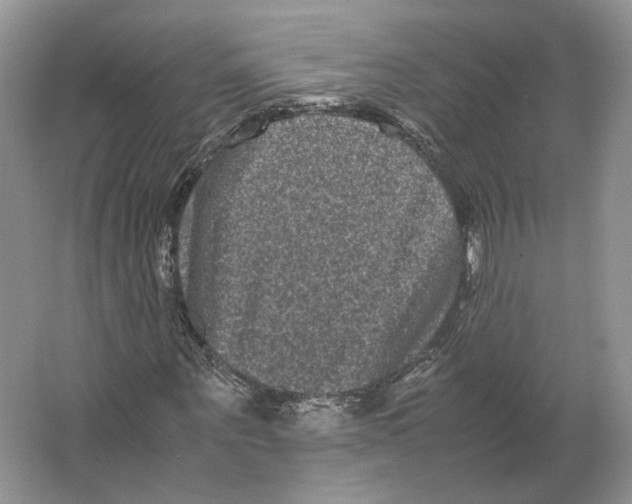 X0000063440867200602171827