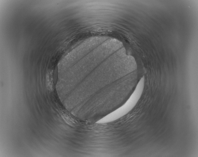 X0000063440868200602171827