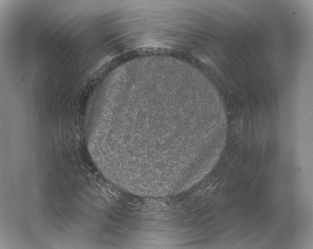 X0000063440870200602171827