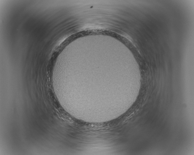 X0000063440871200602171827