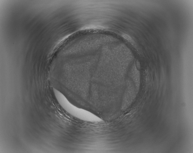 X0000063440872200602171827