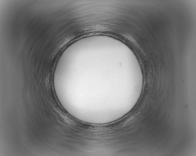 X0000063440873200602171827