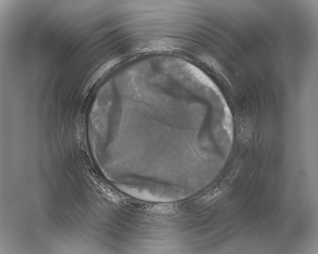 X0000063440874200602171827