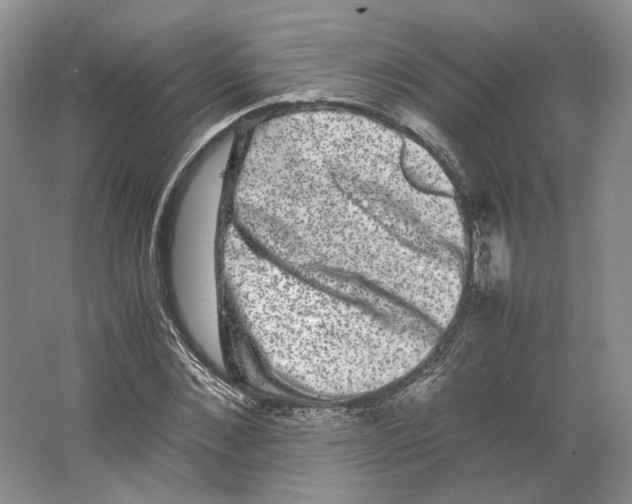 X0000063440876200602171827