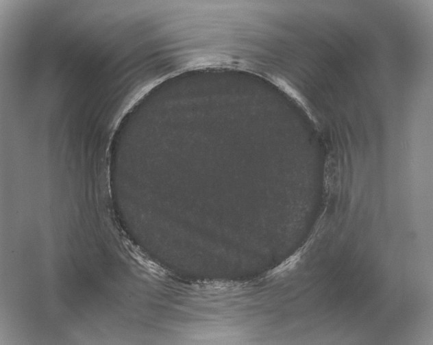 X0000063440877200602171827