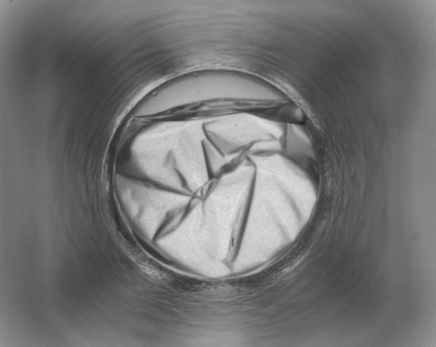 X0000063440885200602171827