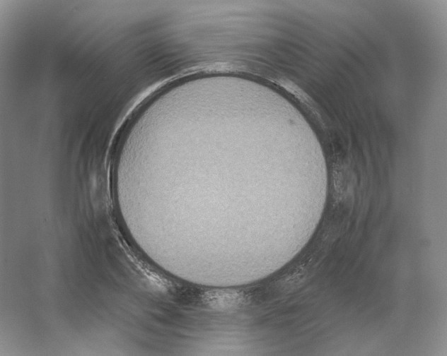 X0000063440886200602171827