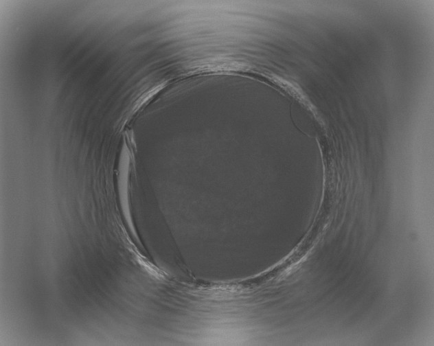 X0000063440889200602171827