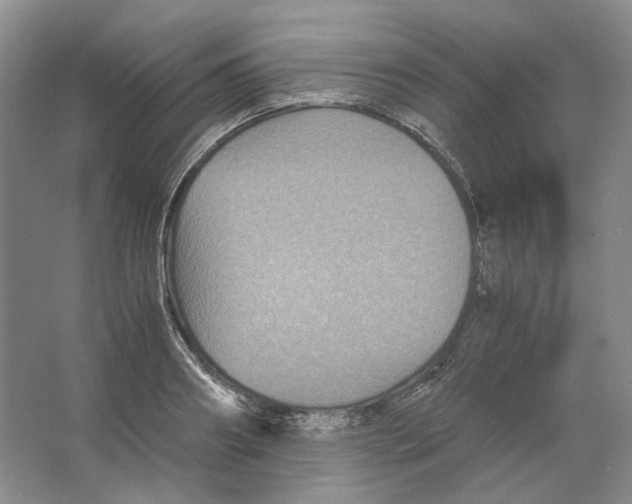 X0000063440890200602171827