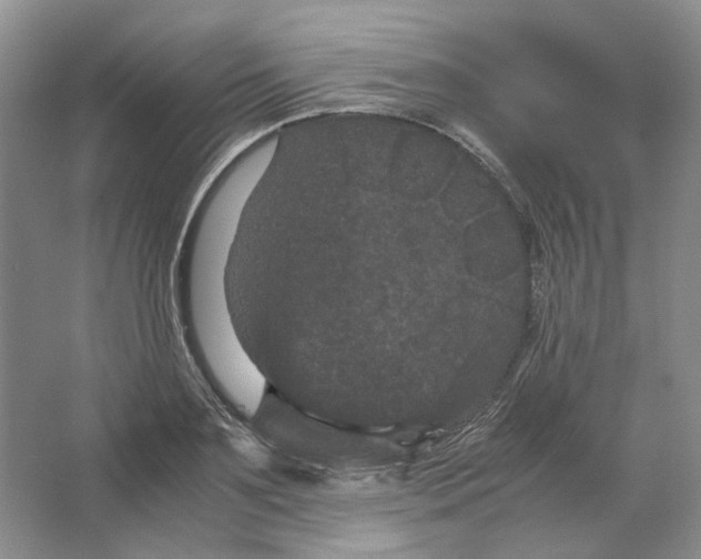 X0000063440891200602171827