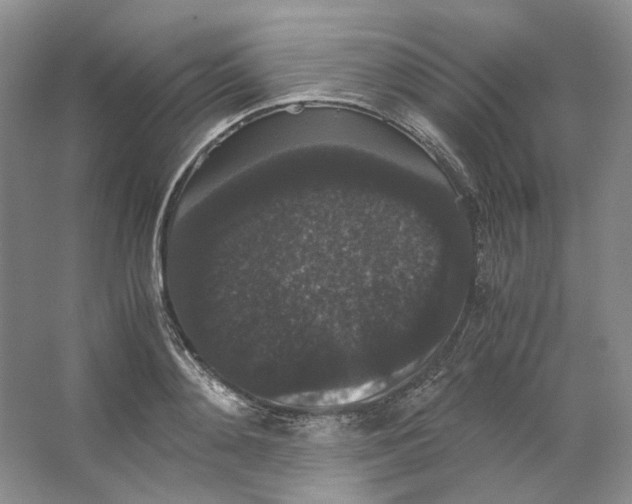 X0000063440892200602171827