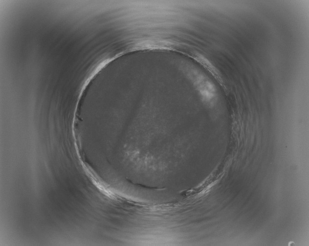 X0000063440893200602171827