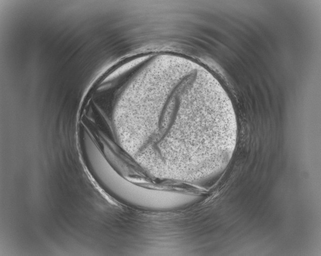 X0000063440894200602171827