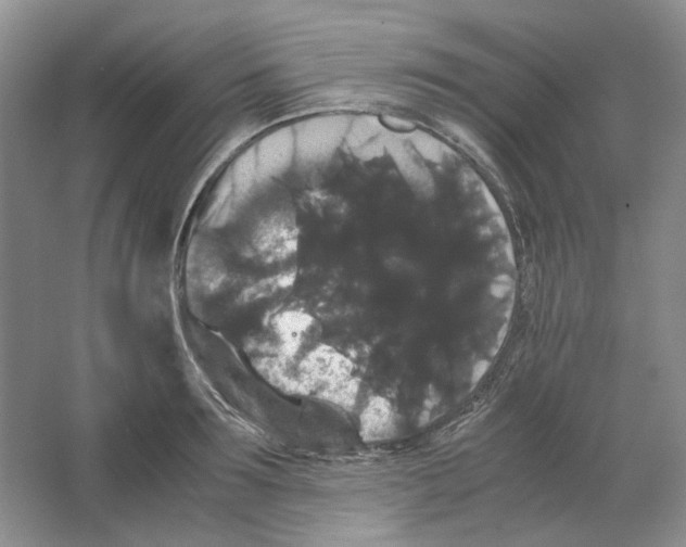 X0000063440899200602171827