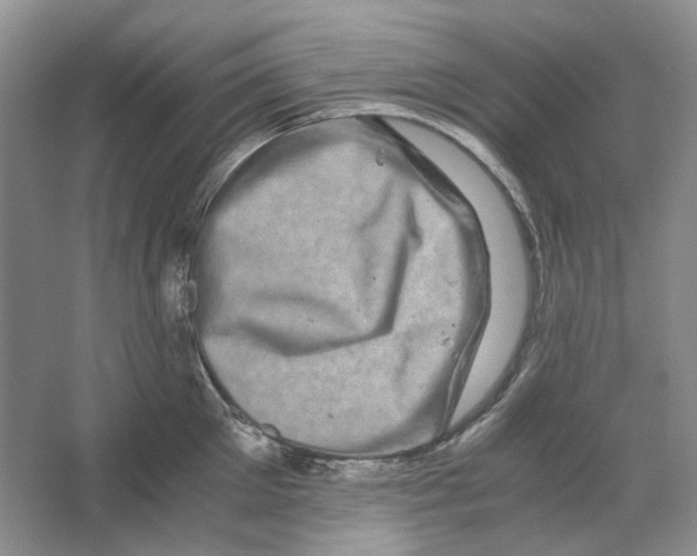 X0000063440905200602171827