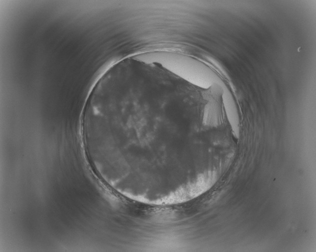 X0000063440907200602171827
