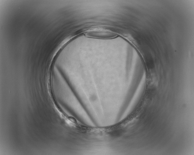 X0000063440909200602171827