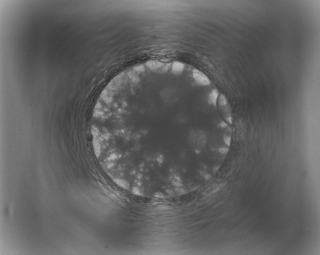 X0000063440913200602171826
