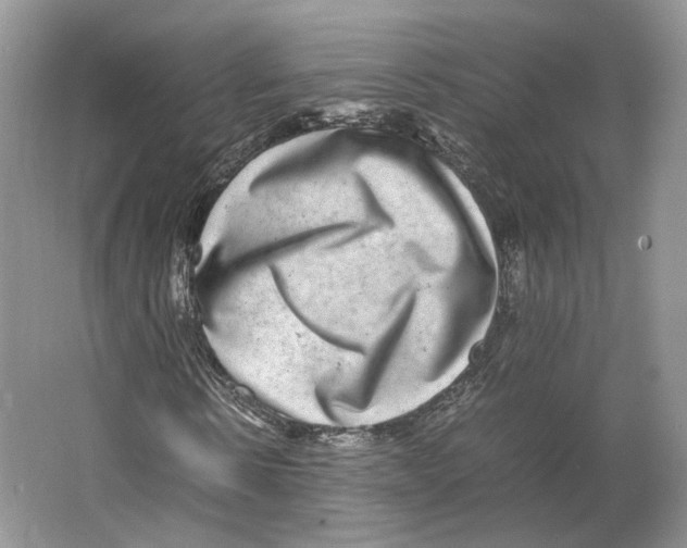 X0000063440914200602171826
