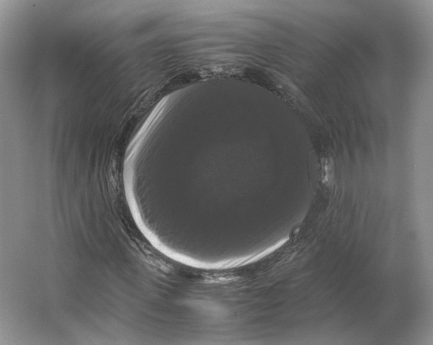 X0000063440915200602171826