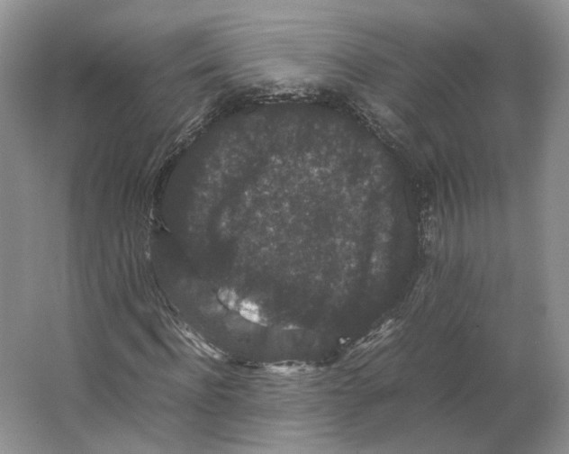 X0000063440916200602171826