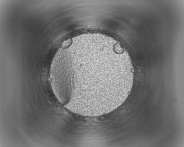 X0000063440918200602171826