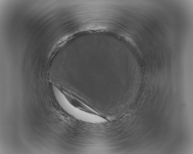X0000063440920200602171826