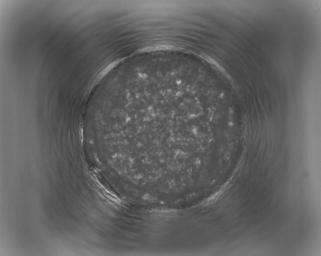 X0000063440921200602171826
