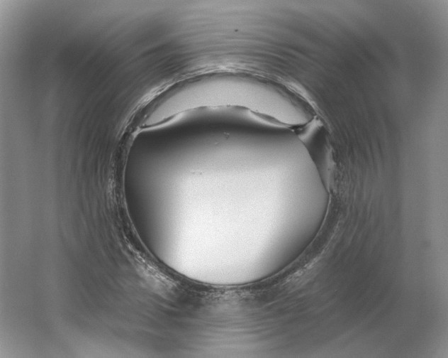 X0000063440922200602171826