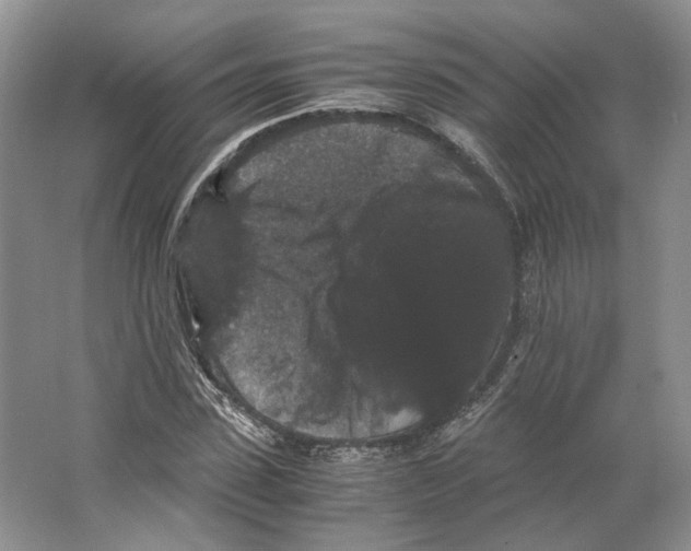 X0000063440923200602171826