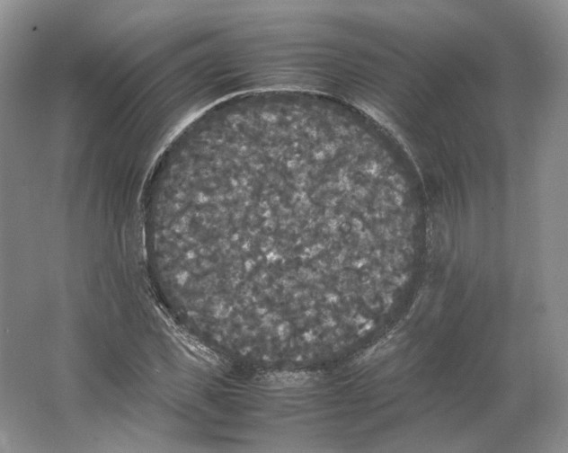 X0000063440925200602171826