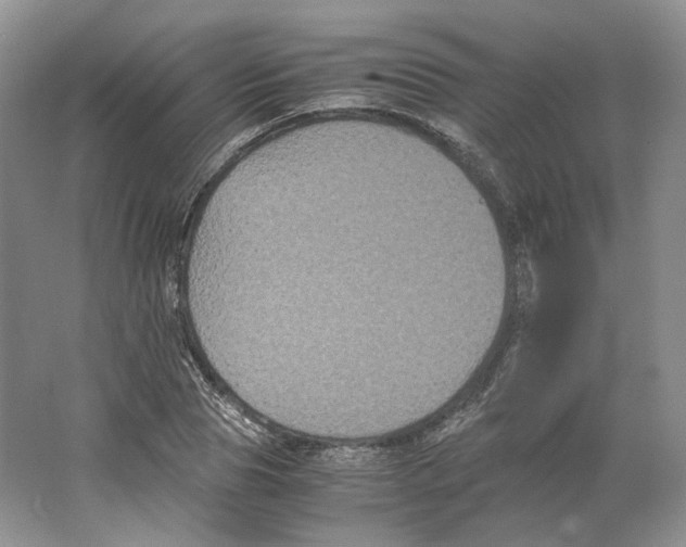 X0000063440929200602171826