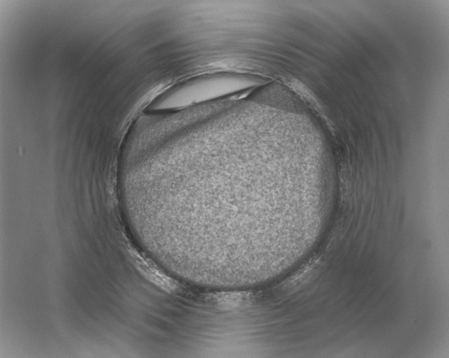 X0000063440930200602171826