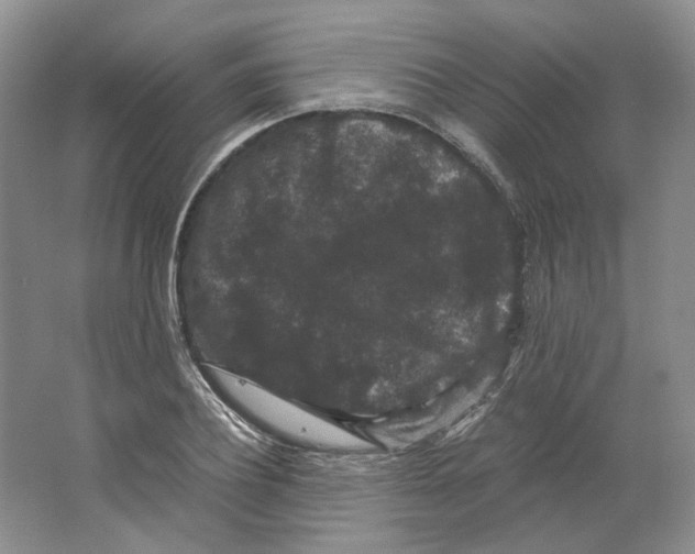 X0000063440932200602171826