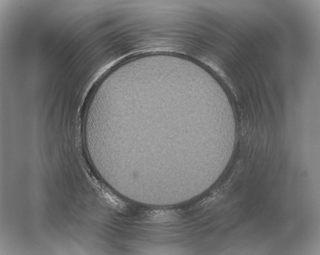 X0000063440933200602171826