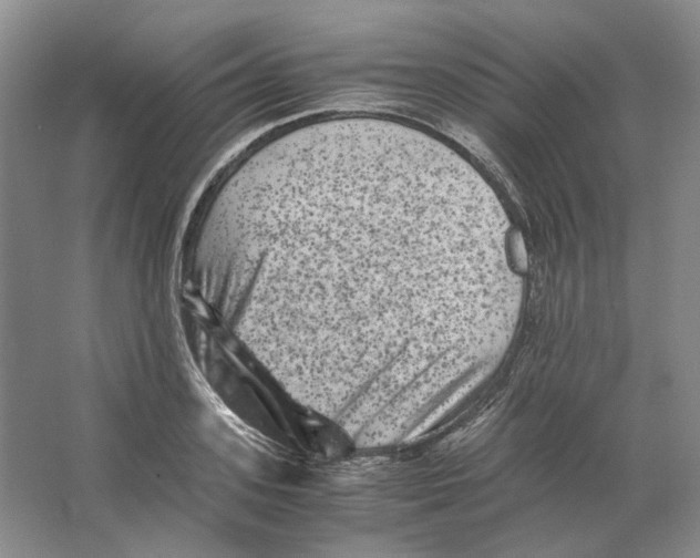 X0000063440939200602171826