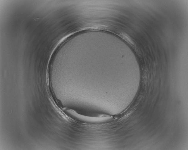 X0000063440940200602171826