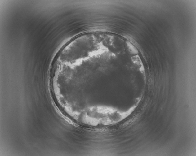 X0000063440941200602171826