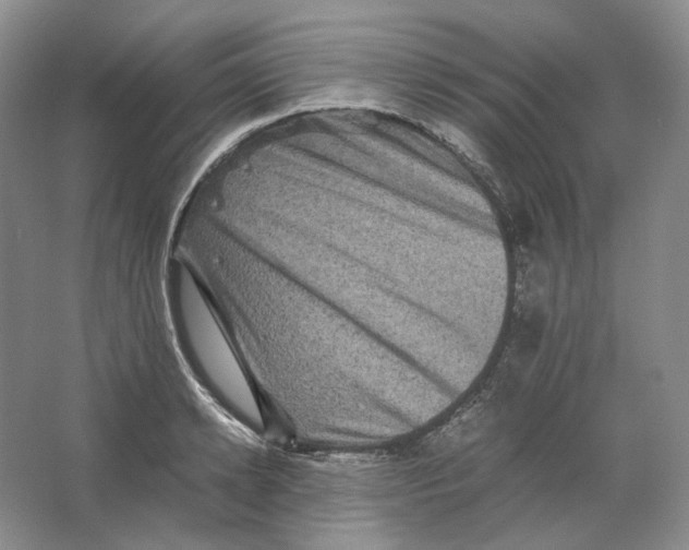 X0000063440942200602171826