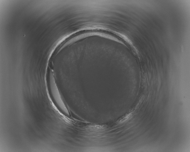 X0000063440943200602171826