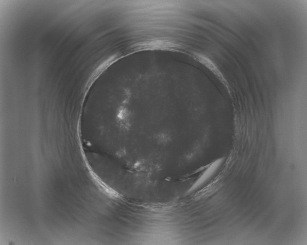 X0000063440946200602171826