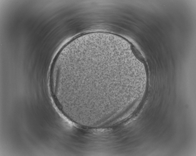 X0000063440949200602171826