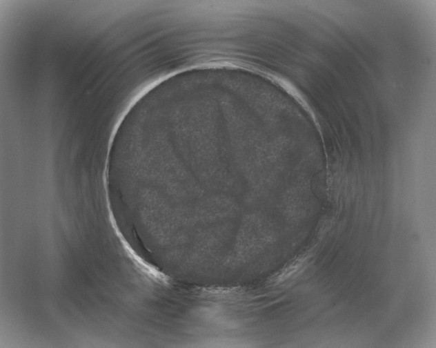 X0000063440951200602171826