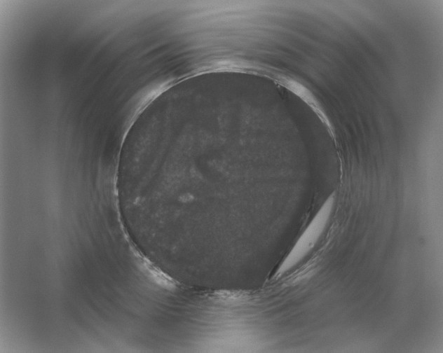 X0000063440954200602171826
