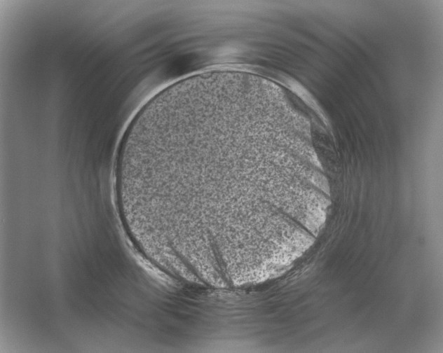 X0000063440955200602171826