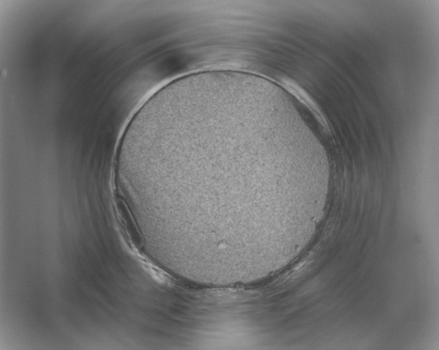 X0000063440956200602171826